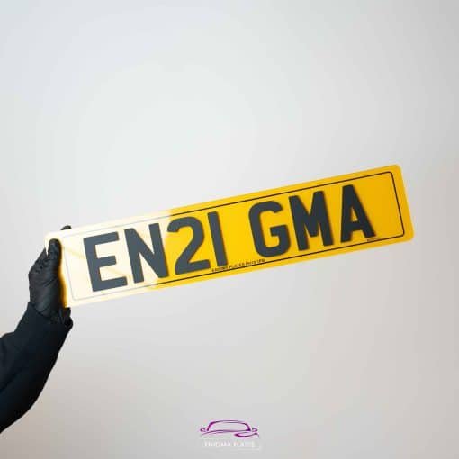 4d plates